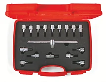 Набор торцевых головок с вставкой Hex и Торкс 1/2" 17 предметов IZELTAS 1113006017